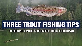 3 Advanced Trout Fishing Tips and Tricks  Become A Better Trout Fisherman [upl. by Ricca]