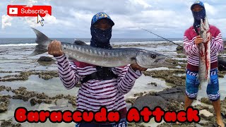 422kg Baraccuda  humanity rod  shimano fx 4000s  tsurinoya lure 12g [upl. by Airamanna]