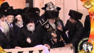 Viznitz Hachnasat Sefer Torah [upl. by Emmery]