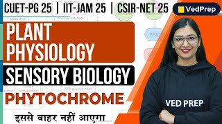 Plant Physiology  Sensory Biology  Phytochrome CUET PGIIT JAMCSIR NET VedPrep Biology Academy [upl. by Notsae]