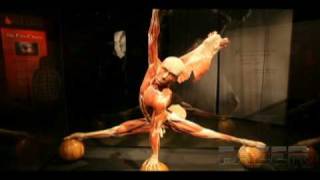 Body Worlds Exhibit Toronto [upl. by Mariko]