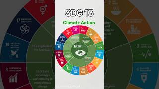 UN SDGs known as Global Goals SDG 13 Climate Action sdgs sdg13 climatechange deforestation [upl. by Joana]