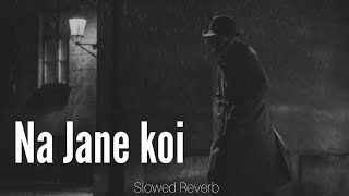 Na Jaane Koi Kaisi Hai Yeh Zindgani Slowed And Reverb Songs  Lofi  Sad Songs  Bhigi Bhigi [upl. by Heidie351]