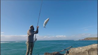 Hi Sydney Wollongong windang rock fishing [upl. by Eirrehc]