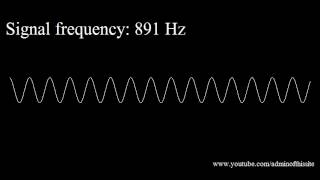 20Hz to 20kHz Human Audio Spectrum [upl. by Fini]