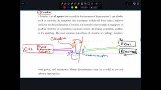 Adrenergic Agonists Part IV [upl. by Aket]