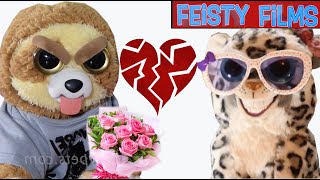 Girlfriends vs Boyfriends A Feisty Pets Compilation [upl. by Cati]