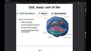 physiology by Dr Ahmad Alrefai  Organisation of humans body amp Homeostasis [upl. by Nohsreg]