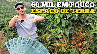 SERA QUE É POSSÍVEL VIVER DA RENDA DE 5 MIL PÉS DE CAFÉ ❓🌱 [upl. by Alesig557]