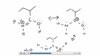 Carboxylic Acid from Hydrolysis of a Nitrile [upl. by Meggi751]