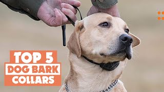 The best bark collar for stubborn dogs￼ [upl. by Tisman]