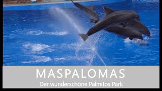 GRAN CANARIA  MASPALOMAS Der Palmitos Park perfekte Kombination aus Tierpark  botanischem Garten [upl. by Atrice]