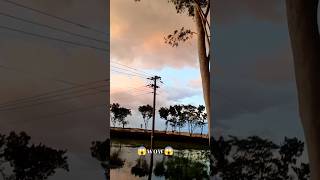 Wow Nature😱কি সুন্দর গ্রামের দৃশ্য😮 nature viralshorts viewpleasesubscribe [upl. by Kelton53]