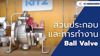 ส่วนประกอบ และหลักการทำงาน Ball valve [upl. by Leddy]