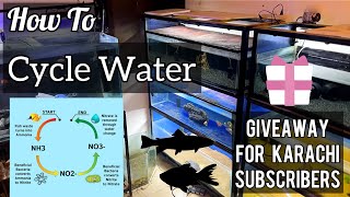 How To Cycle A Fish Tank  Aquarium Ka Pani Cycle Kese Karte  Imrans World [upl. by Donovan]