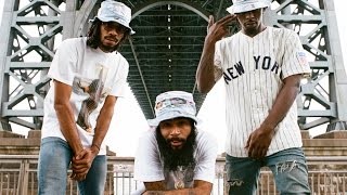 Top 10 Flatbush Zombie Songs [upl. by Andeee]