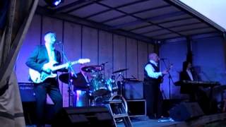 PICKERING 60s WEEKEND 2014 WITH THE FORTUNES LIVE [upl. by Fabiano287]