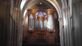 Buxtehude  Praeludium in G minor Bux 148 live recording Esther Assuied organ [upl. by Leifer]