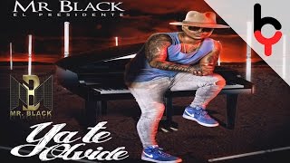 Mr Black  La Falla  Audio [upl. by Cristoforo217]