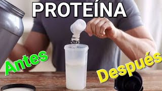 ¿Cómo se toma la proteína ¿antes o después de entrenar Ventana anabólica [upl. by Frye]