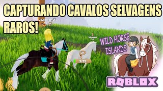 CAPTURANDO CAVALOS SELVAGENS  ROBLOX wild horse islands [upl. by Erreipnaej]