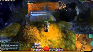 Guild Wars 2  Crusader Arevir Soulhammer Skill Point ULTRA  HD [upl. by Bille]