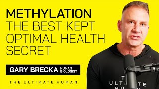 Methylation  The Best Kept Optimal Health Secret [upl. by Trueblood655]