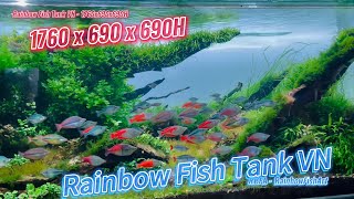 Rainbow Fish Tank VN  Layout Nature so Beautiful  Mạnh Cường [upl. by Schwartz]