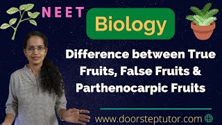 Difference between True Fruits False Fruits amp Parthenocarpic Fruits  NEET  MCAT  Biology [upl. by Irv]