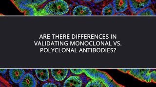 Are There Differences in Validating Monoclonal vs Polyclonal Antibodies [upl. by Solokin260]