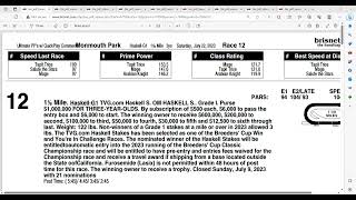 2023 Haskell Stakes Preview [upl. by Alig]