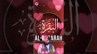 SURAH E BAQARAH  raikhan0456 islamicvideos trending virals feeds [upl. by Heim]