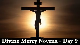 Divine Mercy Novena Day 9  Saturday April 6th 2024 [upl. by Friederike]