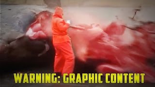 Whale Explodes  Sperm Whale Carcass Explosion GRAPHIC CONTENT [upl. by Wilson157]