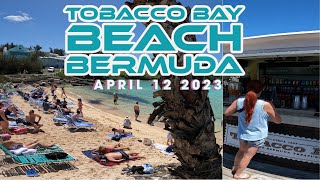 BERMUDA TOBACCO BAY BEACH APRIL 12 2023 bermuda travel [upl. by Hayman776]