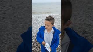 Pensarn beach fishing fishing shorefishing beachfishing shorts happy fish flatfish [upl. by Yreme]