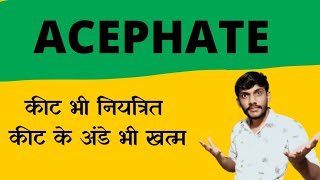 Acephate 75sp insecticide सस्ता और सब से अच्छा किटनाशक प्राथमिक कीटनाशक [upl. by Ahsauqram211]