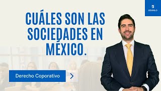 Cuáles son las sociedades que hay en México [upl. by Nnylyma603]