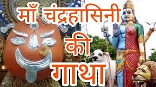 Chandva Beyga  Aama Paan Ke Patri  Padma  Chhattisgarhi Song [upl. by Kelbee]