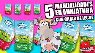 5 MANUALIDADES CON CAJAS DE LECHEManualidades ReciclajeDIY [upl. by Stephanie]