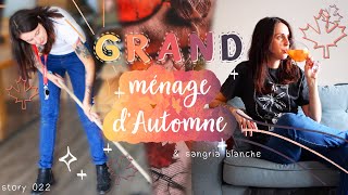 Sangria blanche amp grand ménage dautomne 🍂  Story 22 [upl. by Claudianus]