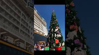 Disney Dream Very Merrytime Cruise straightawaytravel disneycruiseline disneydream [upl. by Enyt290]