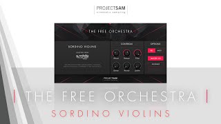 ProjectSAMs The Free Orchestra  2 Sordino Violins [upl. by Aninaj]