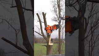 Der Woodcracker CS750 smart im Einsatz 🙌🏽🤝🏽 trending viral youtubeshorts foryou baumdienst [upl. by Adlitam]