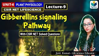 GIBBERELLIN SIGNALING PATHWAY  PHYTOHORMONEPART9 CSIR NETPLANT BIOLOGY [upl. by Nickie]