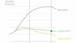 Marginal Productivity Theory Of Wages  Marginal Productivity Theory  Wages  Economics  UGC [upl. by Eylloh]