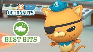 Octonauts Kwaziis Best Bits [upl. by Morice261]