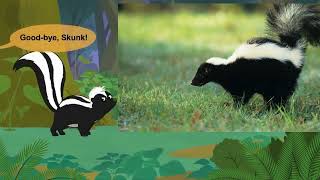 Meet the Animals  The Black and White Stinkers of the Animal World  Skunks🦨🦨 [upl. by Lrac]