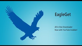 برنامج التحميل eagleget و حل جميع مشاكله و ظهوره على اليوتيب [upl. by Chevalier654]