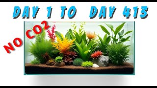 I Tried Growing Plants Without CO2 for 413 Days Heres What Happened [upl. by Aynom]